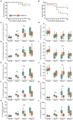 Lack of STAT1 co-operative DNA binding protects against adverse cardiac remodelling in acute myocardial infarction